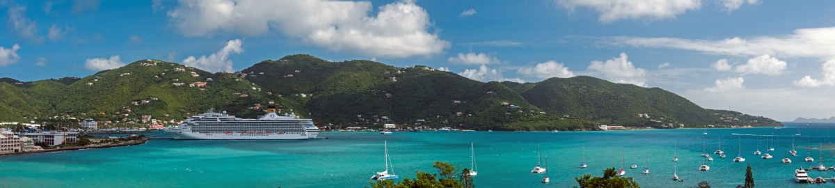 Road Harbour Panorama - 2 cruise ships docked (bvi4092)  [flickr.com]  CC BY 
Informations sur les licences disponibles sous 'Preuve des sources d'images'